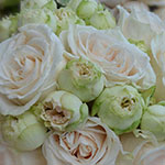 Bridal Bouquets Ref: BB098